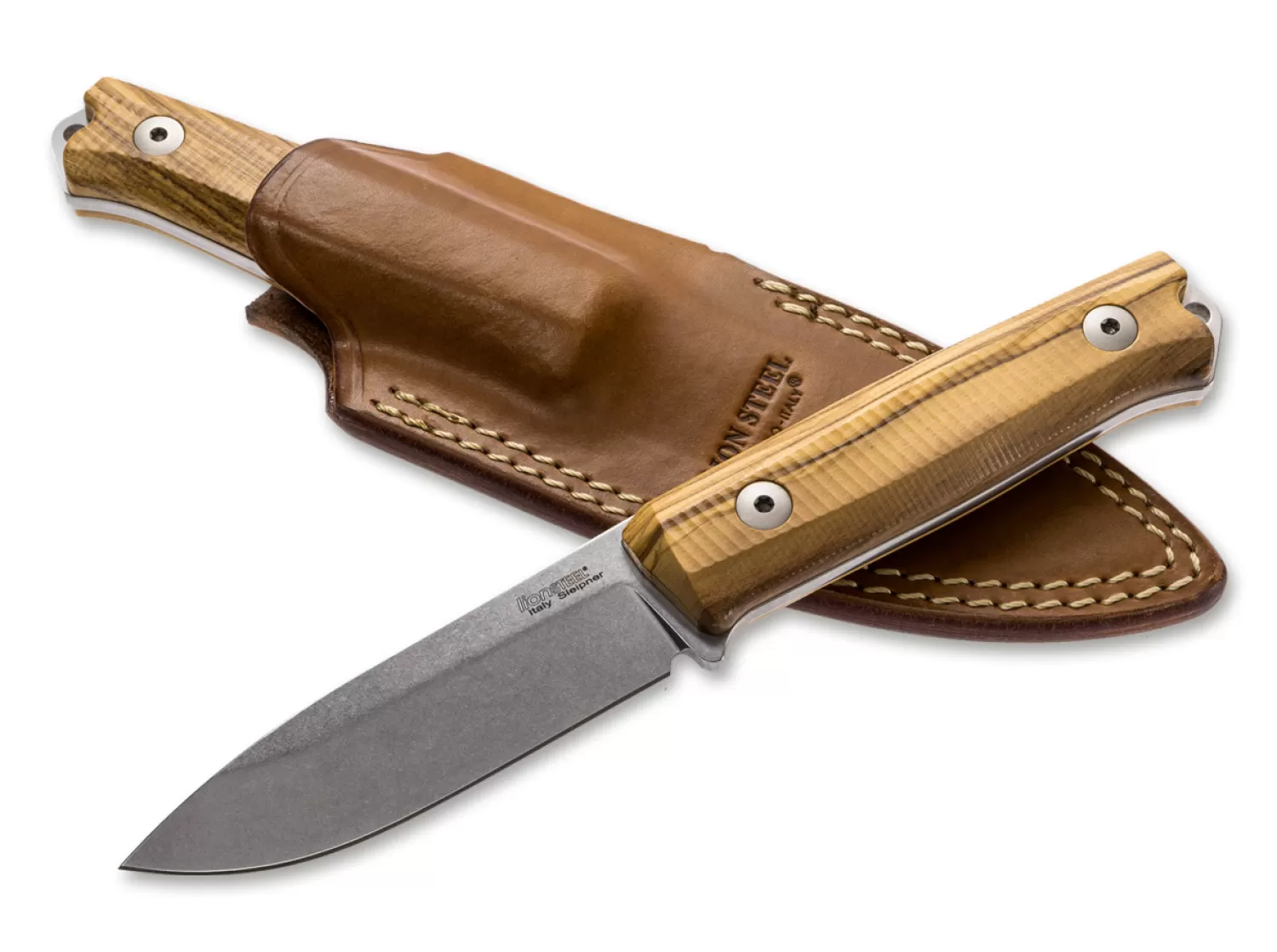 B40 Olive Wood-LionSteel Online