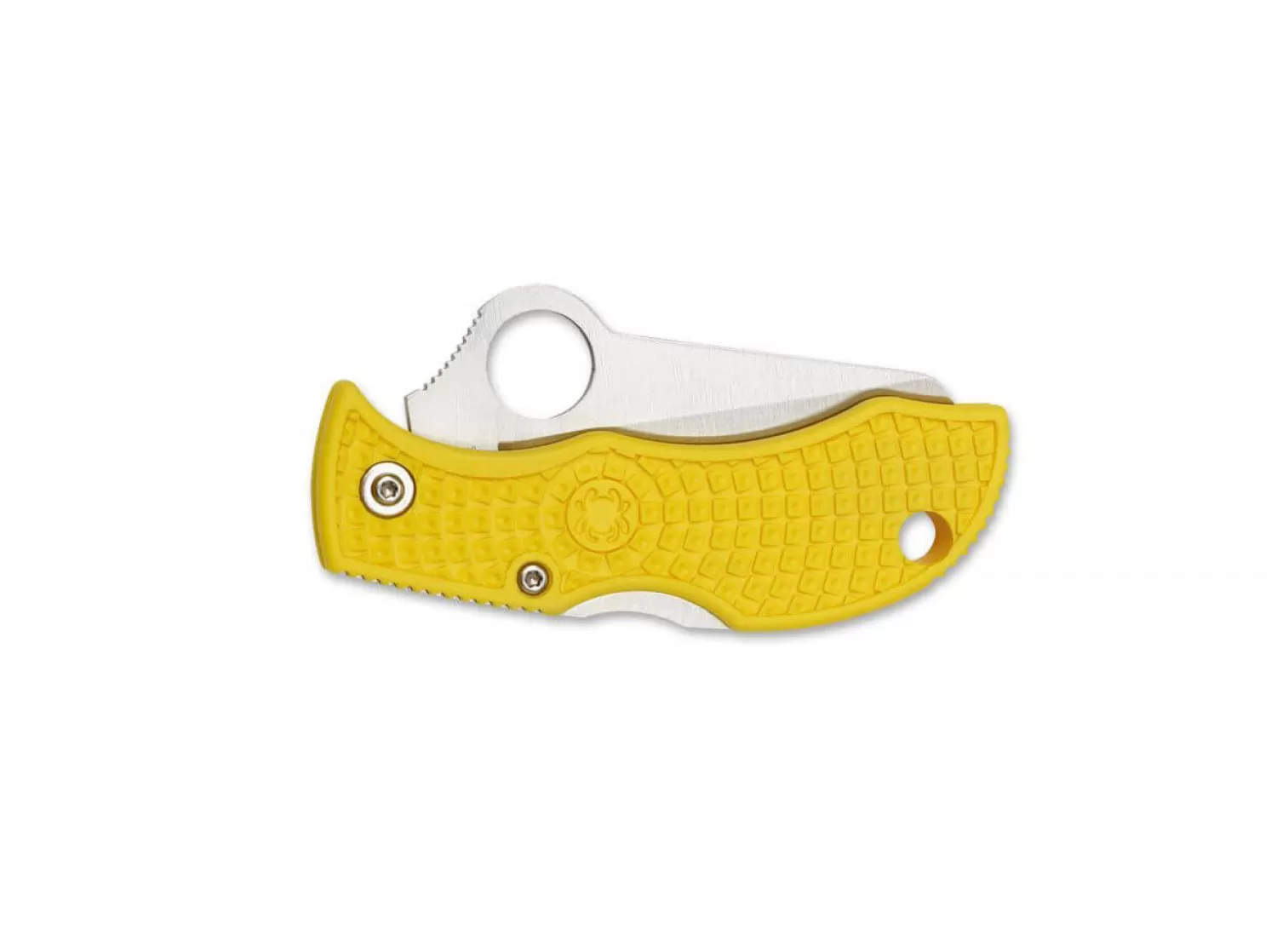 ManBug Salt-Spyderco Online