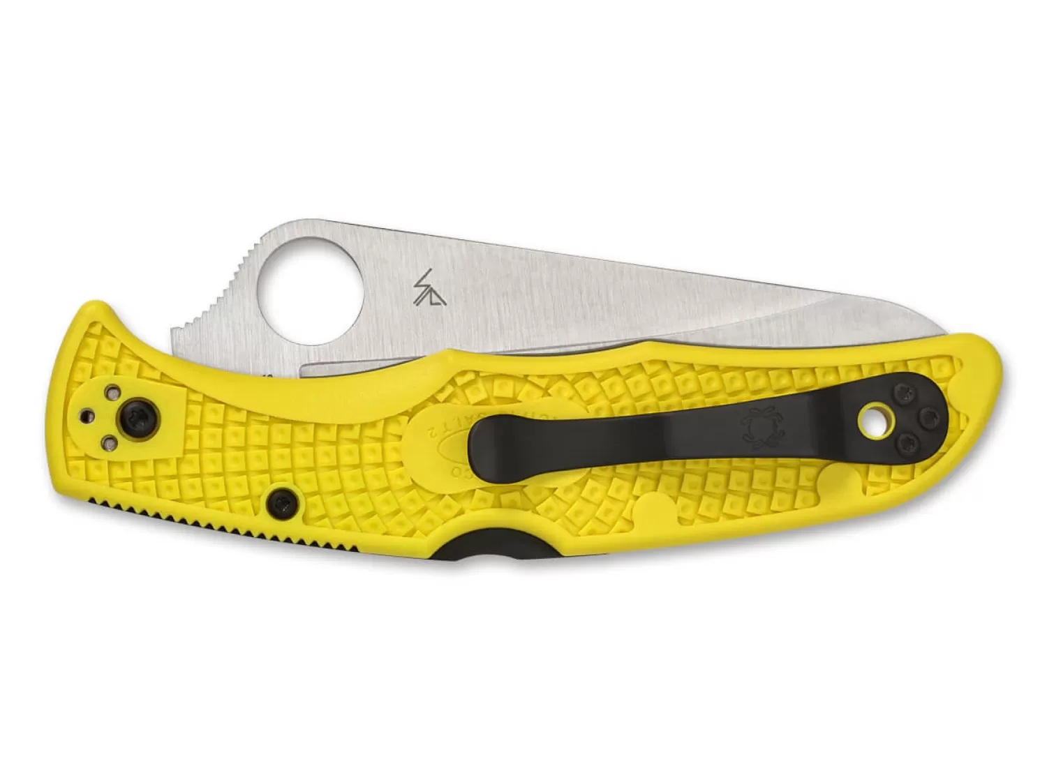 Pacific Salt 2 -Spyderco Outlet