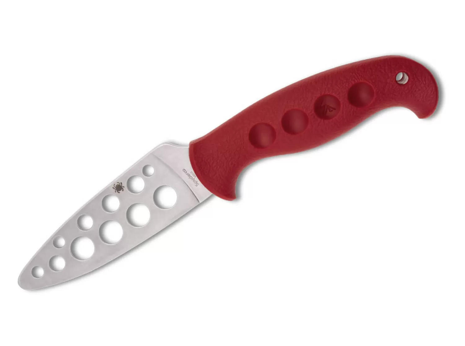 Temperance Trainer 420J2 Sprint Run-Spyderco Cheap