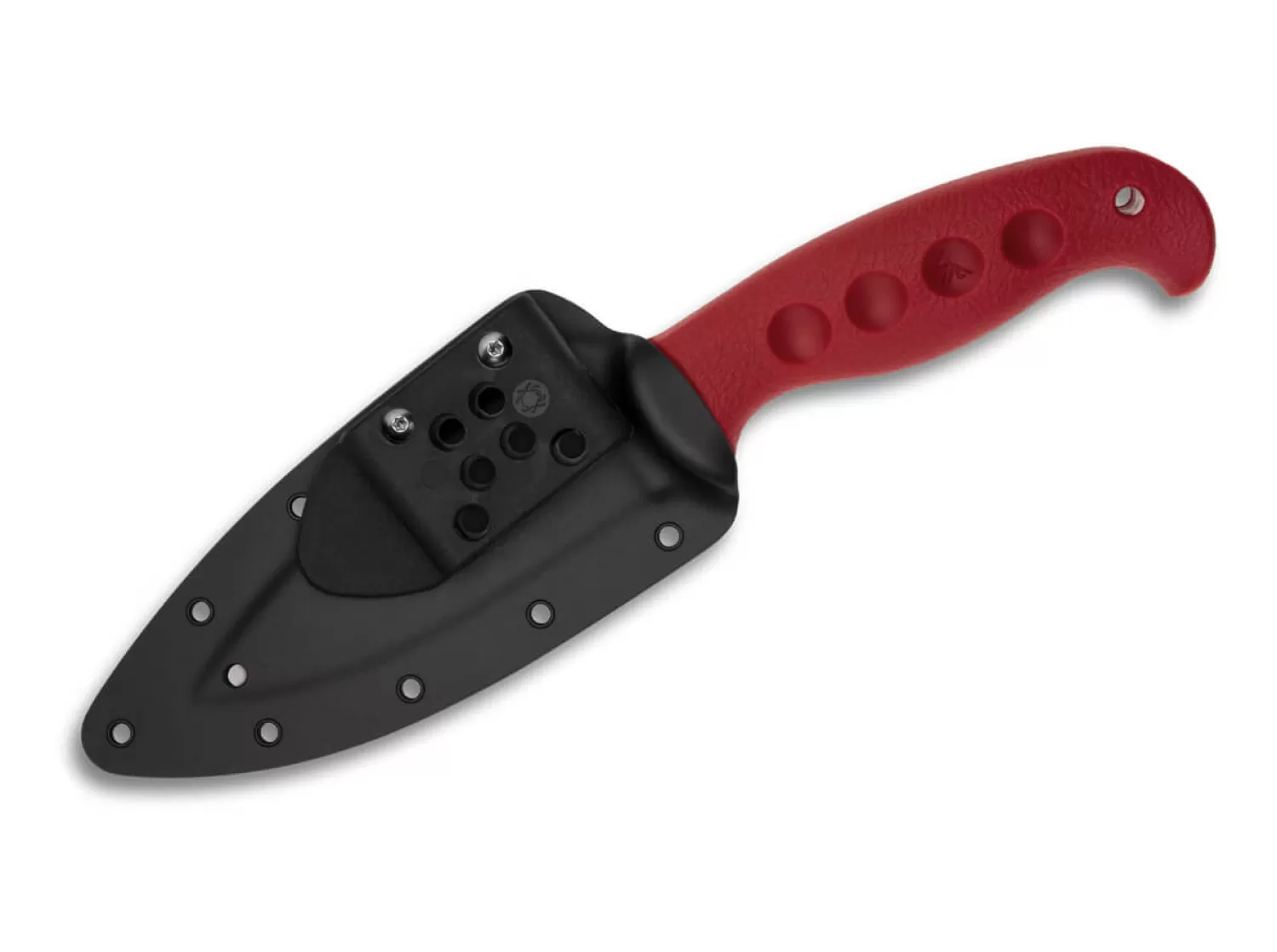 Temperance Trainer 420J2 Sprint Run-Spyderco Cheap