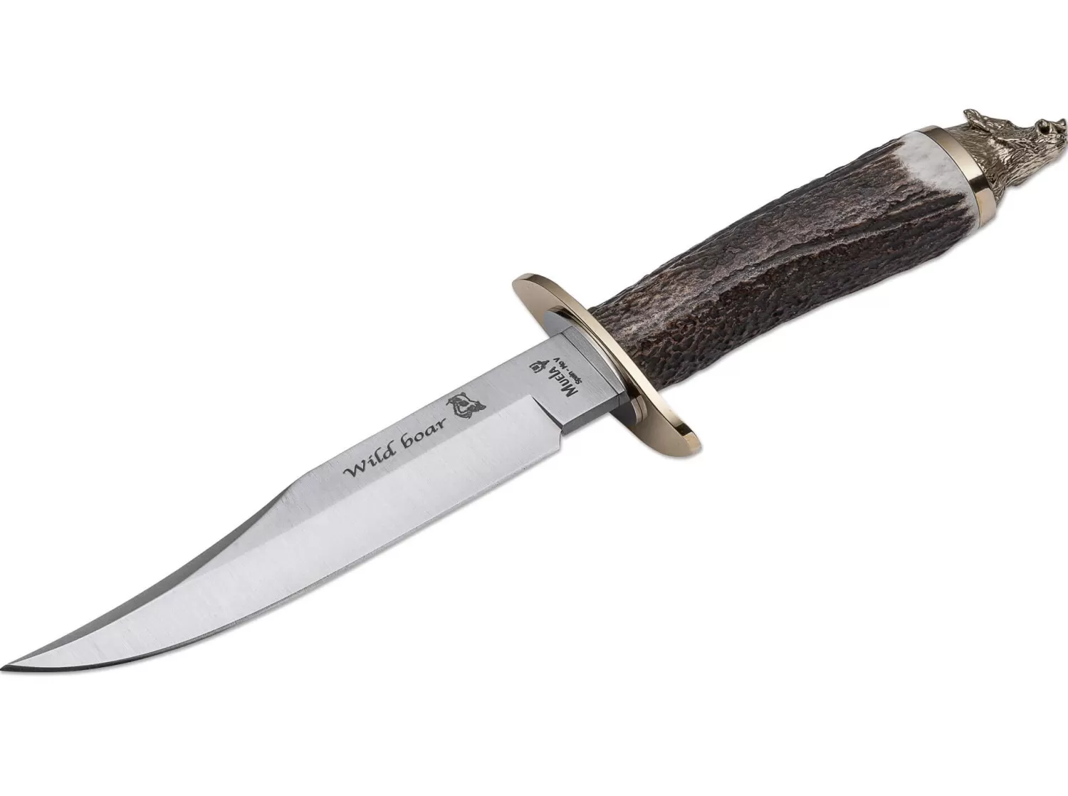 Wildboar Hirschhorn-Muela Best Sale